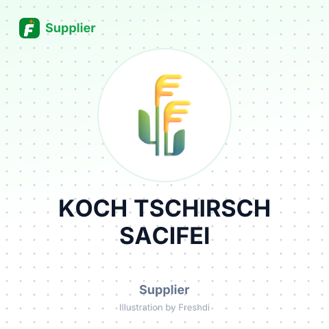 KOCH TSCHIRSCH SACIFEI – summary card, no photo uploaded yet