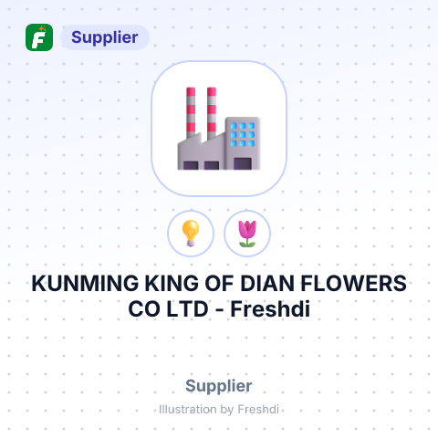 KUNMING KING OF DIAN FLOWERS CO LTD – summary card, no photo uploaded yet