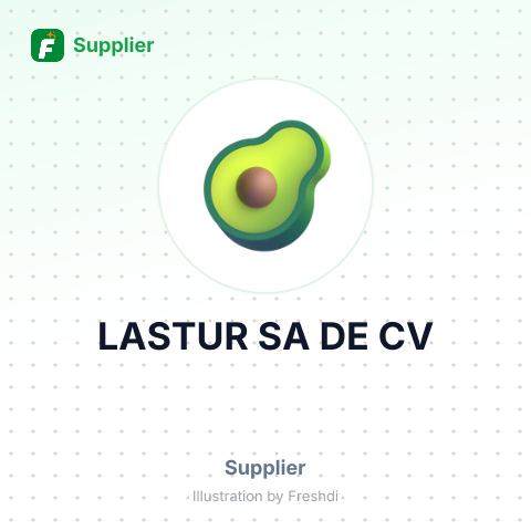 LASTUR SA DE CV – summary card, no photo uploaded yet