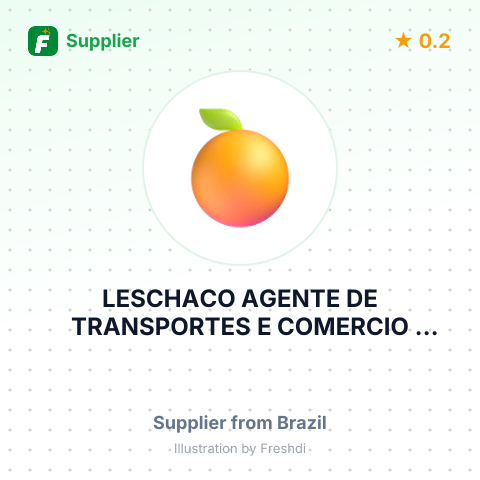 LESCHACO AGENTE DE TRANSPORTES E COMERCIO INTERNACIONAIS LTDA. – summary card, no photo uploaded yet
