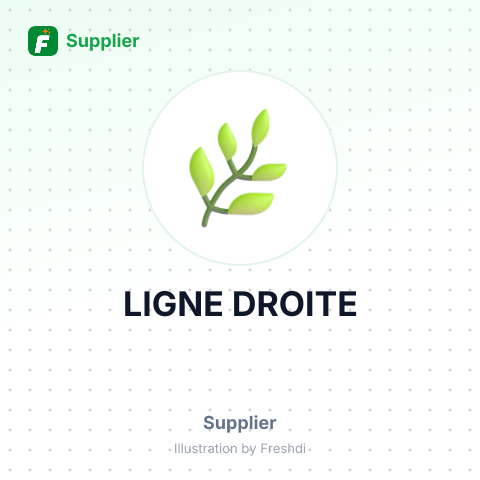 LIGNE DROITE – summary card, no photo uploaded yet