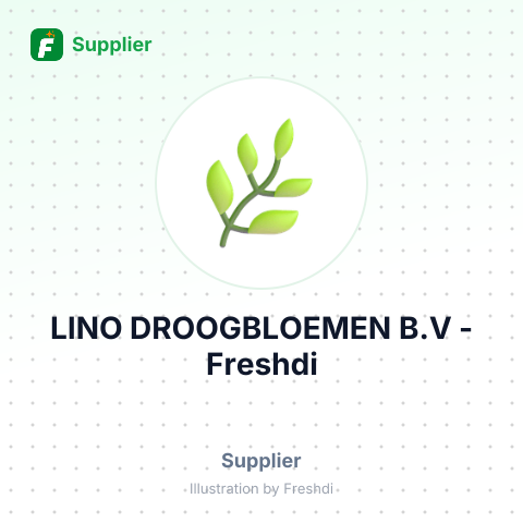 LINO DROOGBLOEMEN B.V – summary card, no photo uploaded yet