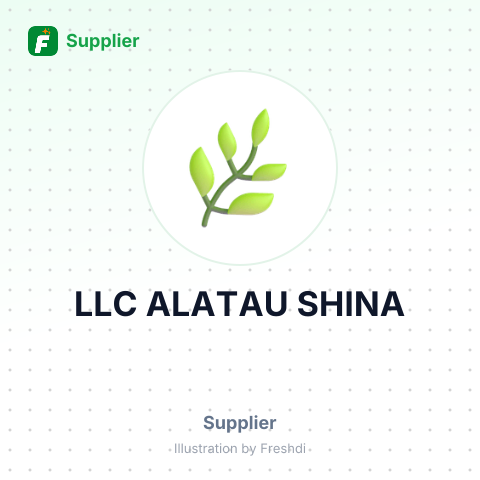 LLC ALATAU SHINA – summary card, no photo uploaded yet