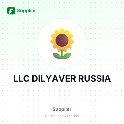 LLC DILYAVER RUSSIA – summary card, no photo uploaded yet