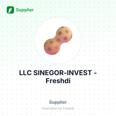 LLC SINEGOR-INVEST – summary card, no photo uploaded yet