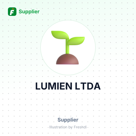 LUMIEN LTDA – summary card, no photo uploaded yet