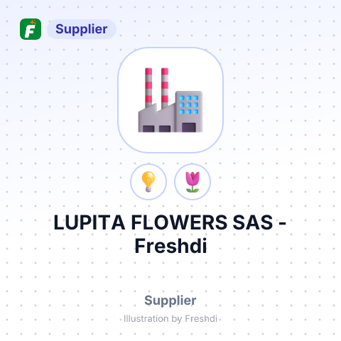 LUPITA FLOWERS SAS – summary card, no photo uploaded yet