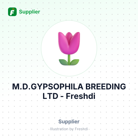 M.D.GYPSOPHILA BREEDING LTD – summary card, no photo uploaded yet
