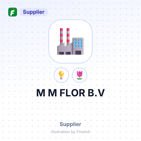 M M FLOR B.V – summary card, no photo uploaded yet