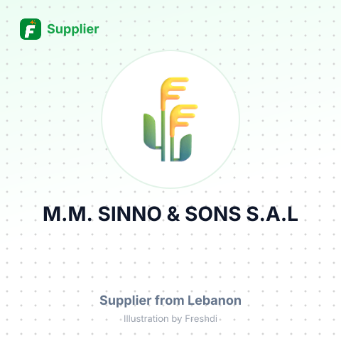 M.M. SINNO & SONS S.A.L – summary card, no photo uploaded yet
