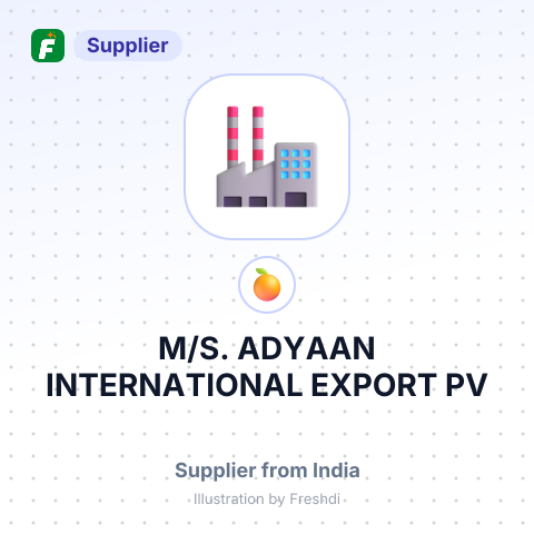 M/S. ADYAAN INTERNATIONAL EXPORT PV – summary card, no photo uploaded yet