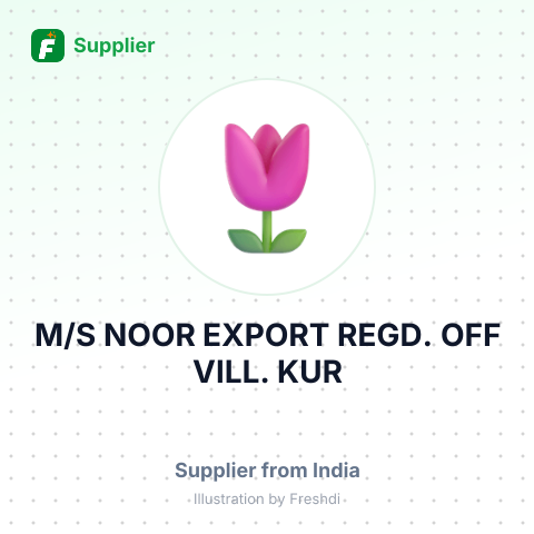 M/S NOOR EXPORT REGD. OFF VILL. KUR – summary card, no photo uploaded yet