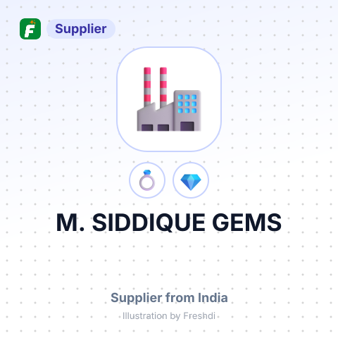 M. SIDDIQUE GEMS – summary card, no photo uploaded yet