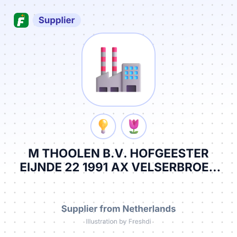 M THOOLEN B.V. HOFGEESTER EIJNDE 22 1991 AX VELSERBROEK НІДЕРЛАНДИ – summary card, no photo uploaded yet