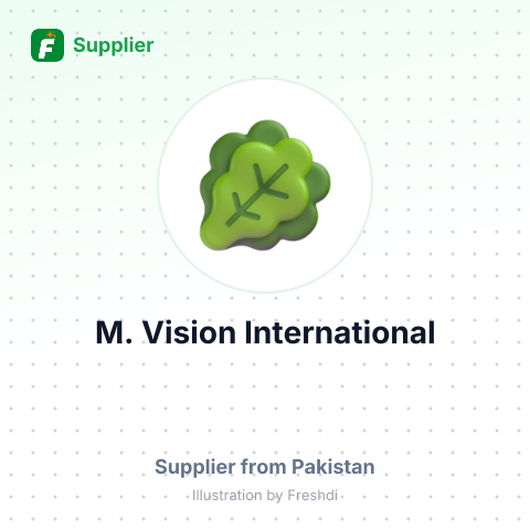 M. Vision International – summary card, no photo uploaded yet