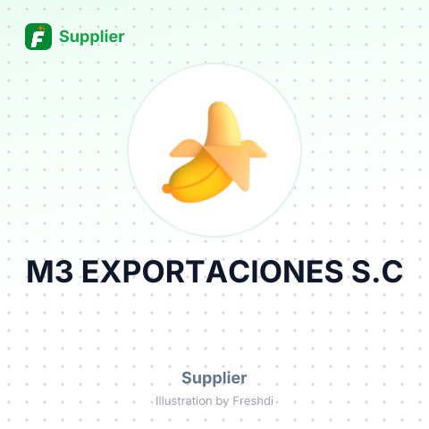 M3 EXPORTACIONES S.C – summary card, no photo uploaded yet