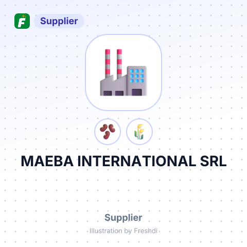 MAEBA INTERNATIONAL SRL – summary card, no photo uploaded yet