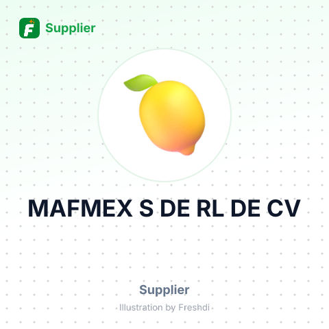 MAFMEX S DE RL DE CV – summary card, no photo uploaded yet