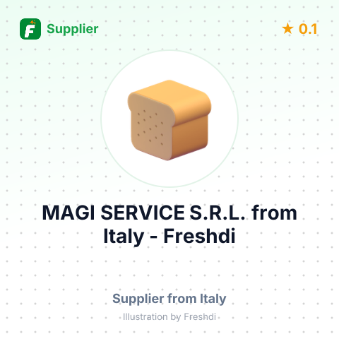 MAGI SERVICE S.R.L. – summary card, no photo uploaded yet