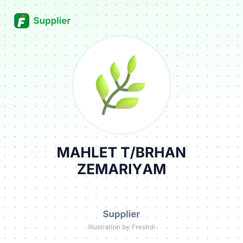 MAHLET T/BRHAN ZEMARIYAM – summary card, no photo uploaded yet
