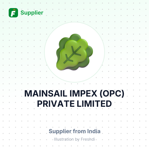 MAINSAIL IMPEX (OPC) PRIVATE LIMITED – summary card, no photo uploaded yet
