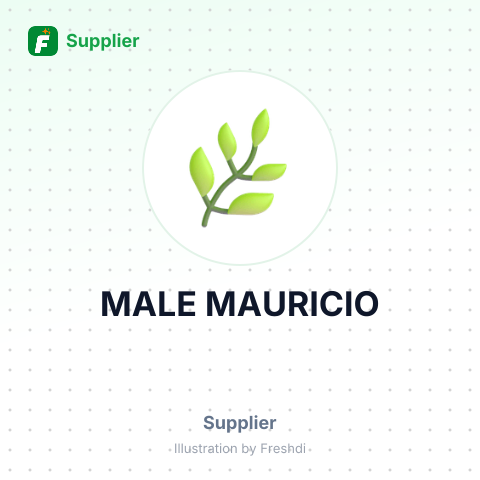 MALE MAURICIO – summary card, no photo uploaded yet