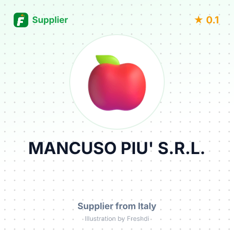 MANCUSO PIU' S.R.L. – summary card, no photo uploaded yet