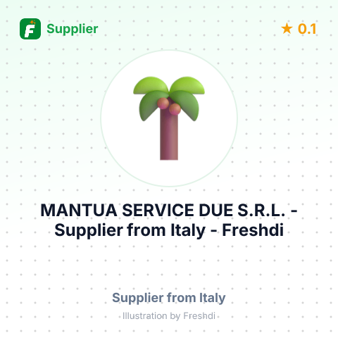 MANTUA SERVICE DUE S.R.L. – summary card, no photo uploaded yet