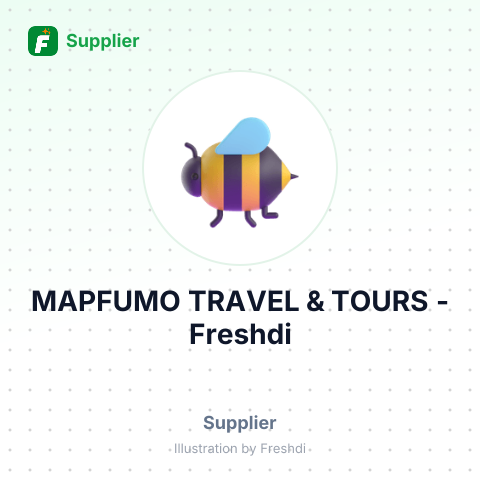 MAPFUMO TRAVEL & TOURS – summary card, no photo uploaded yet
