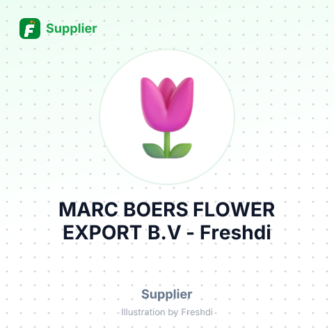 MARC BOERS FLOWER EXPORT B.V – summary card, no photo uploaded yet