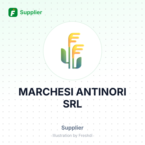 MARCHESI ANTINORI SRL – summary card, no photo uploaded yet