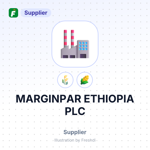 MARGINPAR ETHIOPIA PLC – summary card, no photo uploaded yet