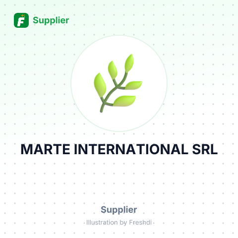MARTE INTERNATIONAL SRL – summary card, no photo uploaded yet