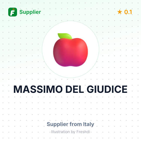 MASSIMO DEL GIUDICE – summary card, no photo uploaded yet
