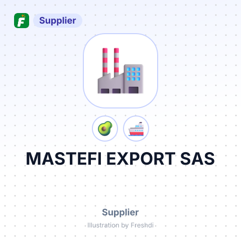 MASTEFI EXPORT SAS – summary card, no photo uploaded yet