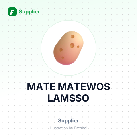 MATE MATEWOS LAMSSO – summary card, no photo uploaded yet