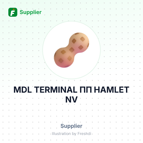MDL TERMINAL ПП НАМLЕТ NV – summary card, no photo uploaded yet