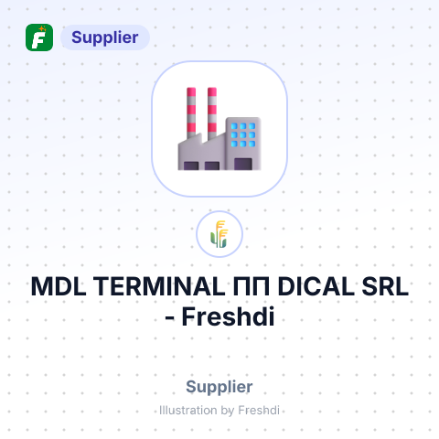 MDL TERMINAL ПП DICAL SRL – summary card, no photo uploaded yet
