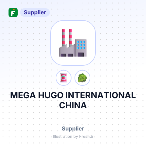 MEGA HUGO INTERNATIONAL CHINA – summary card, no photo uploaded yet