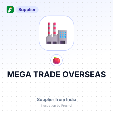 MEGA TRADE OVERSEAS – summary card, no photo uploaded yet
