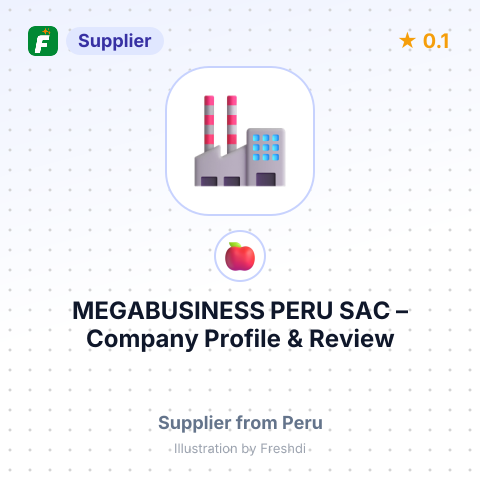 MEGABUSINESS PERU SAC – summary card, no photo uploaded yet