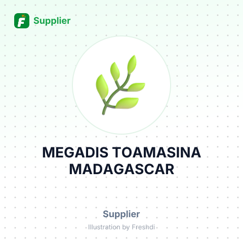 MEGADIS TOAMASINA MADAGASCAR – summary card, no photo uploaded yet