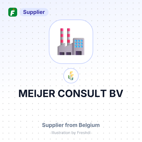 MEIJER CONSULT BV – summary card, no photo uploaded yet
