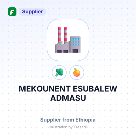 MEKOUNENT ESUBALEW ADMASU – summary card, no photo uploaded yet