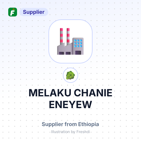 MELAKU CHANIE ENEYEW – summary card, no photo uploaded yet