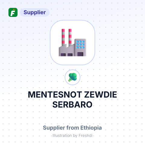 MENTESNOT ZEWDIE SERBARO – summary card, no photo uploaded yet