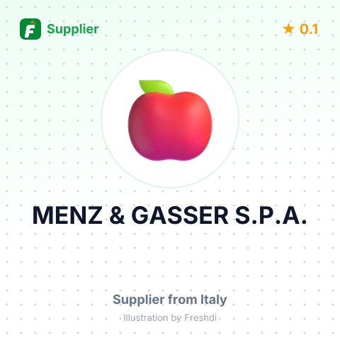 MENZ & GASSER S.P.A. – summary card, no photo uploaded yet