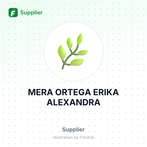 MERA ORTEGA ERIKA ALEXANDRA – summary card, no photo uploaded yet