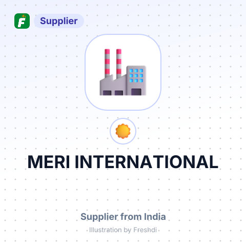 MERI INTERNATIONAL – summary card, no photo uploaded yet
