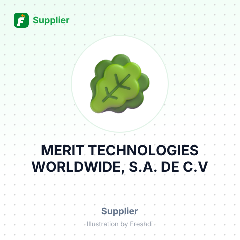 MERIT TECHNOLOGIES WORLDWIDE, S.A. DE C.V – summary card, no photo uploaded yet